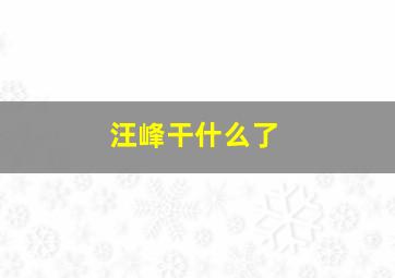 汪峰干什么了