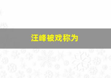 汪峰被戏称为