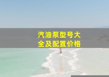 汽油泵型号大全及配置价格