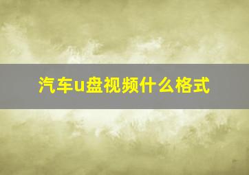 汽车u盘视频什么格式