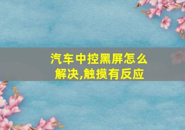 汽车中控黑屏怎么解决,触摸有反应