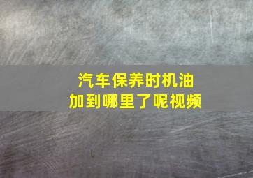 汽车保养时机油加到哪里了呢视频