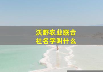 沃野农业联合社名字叫什么