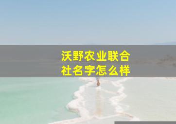 沃野农业联合社名字怎么样