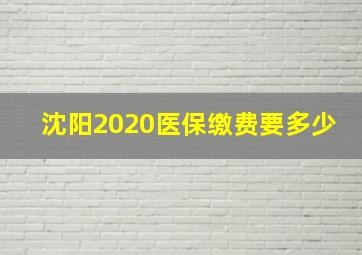 沈阳2020医保缴费要多少