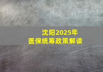 沈阳2025年医保统筹政策解读