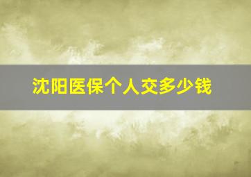 沈阳医保个人交多少钱