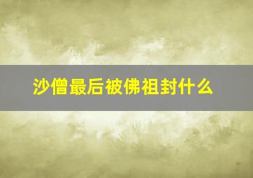 沙僧最后被佛祖封什么