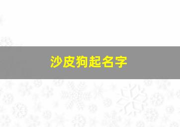 沙皮狗起名字