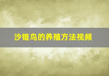 沙锥鸟的养殖方法视频