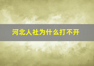 河北人社为什么打不开