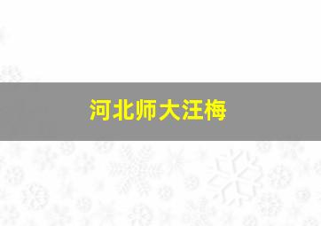 河北师大汪梅