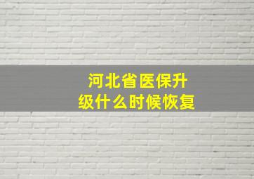 河北省医保升级什么时候恢复