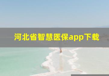 河北省智慧医保app下载