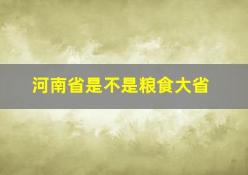 河南省是不是粮食大省