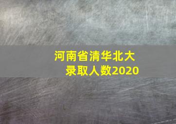 河南省清华北大录取人数2020