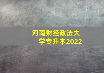 河南财经政法大学专升本2022