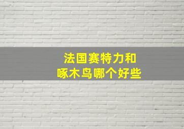 法国赛特力和啄木鸟哪个好些