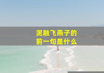 泥融飞燕子的前一句是什么