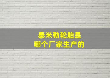 泰米勒轮胎是哪个厂家生产的