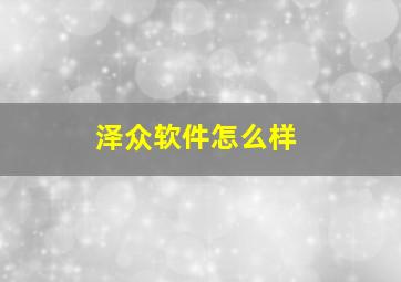 泽众软件怎么样