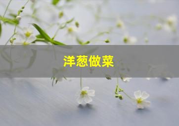 洋葱做菜