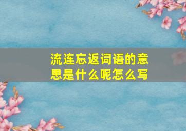 流连忘返词语的意思是什么呢怎么写