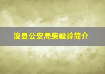 浚县公安局柴峻岭简介