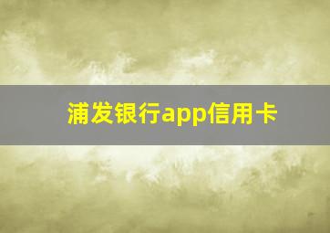 浦发银行app信用卡