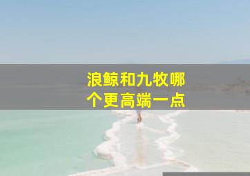 浪鲸和九牧哪个更高端一点