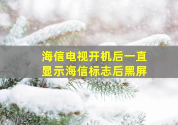 海信电视开机后一直显示海信标志后黑屏