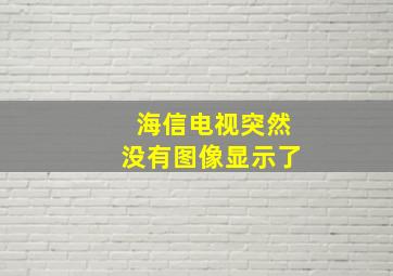 海信电视突然没有图像显示了