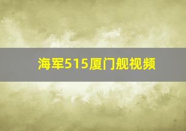 海军515厦门舰视频