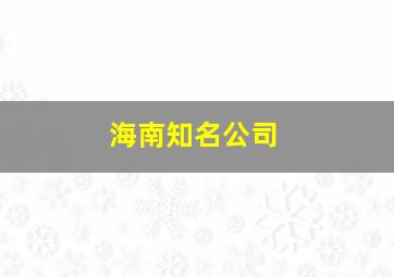 海南知名公司