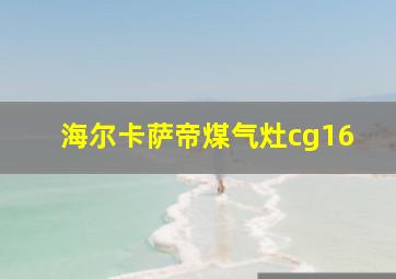 海尔卡萨帝煤气灶cg16