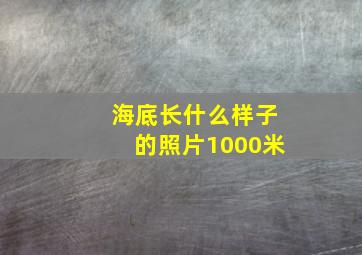 海底长什么样子的照片1000米