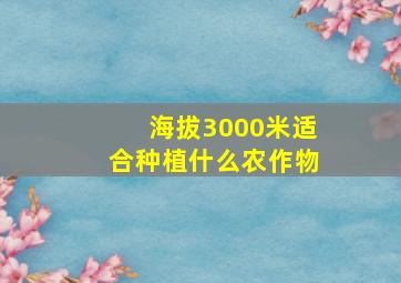 海拔3000米适合种植什么农作物