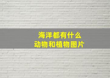 海洋都有什么动物和植物图片