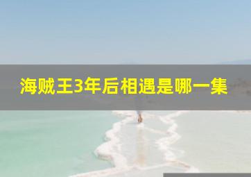 海贼王3年后相遇是哪一集