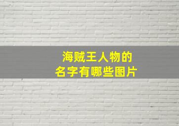 海贼王人物的名字有哪些图片