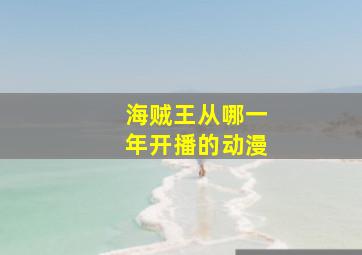 海贼王从哪一年开播的动漫