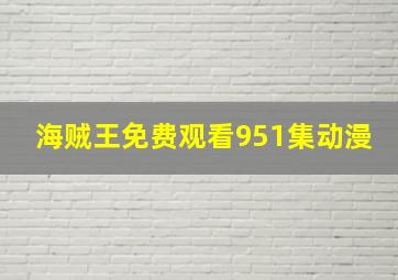 海贼王免费观看951集动漫