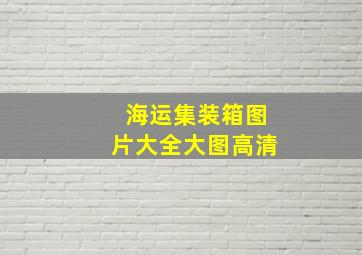 海运集装箱图片大全大图高清