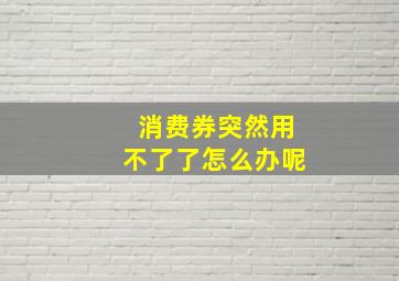 消费券突然用不了了怎么办呢