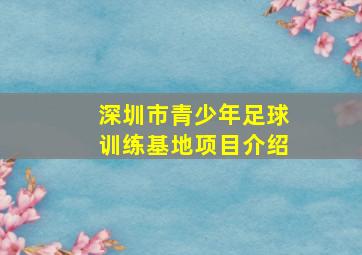 深圳市青少年足球训练基地项目介绍