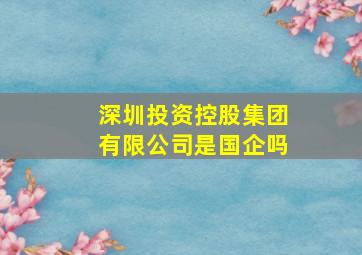 深圳投资控股集团有限公司是国企吗