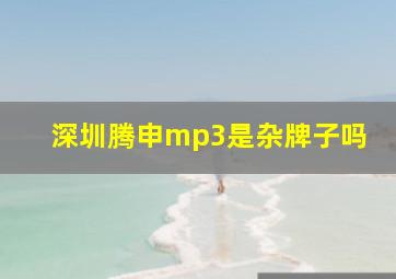 深圳腾申mp3是杂牌子吗