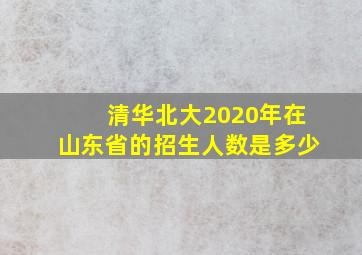 清华北大2020年在山东省的招生人数是多少