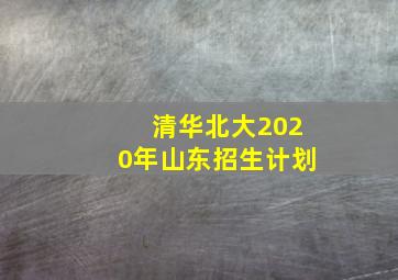 清华北大2020年山东招生计划