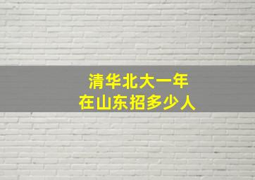 清华北大一年在山东招多少人